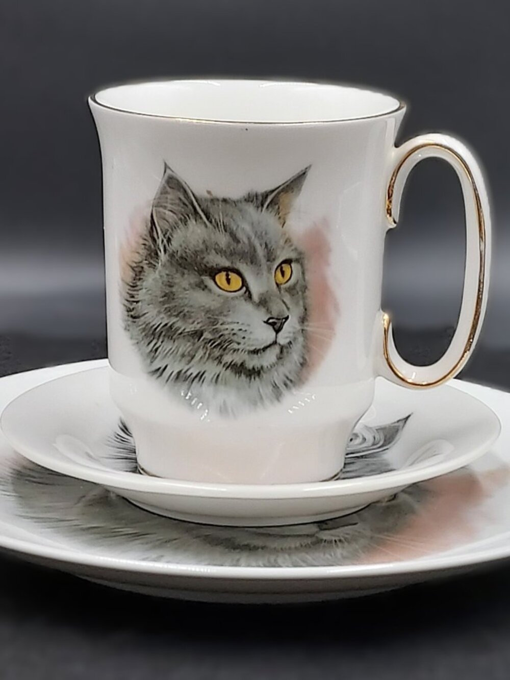 Vintage Royal Windsor Cup and Saucer and Bavaria Plate of Beautiful Silver Cat